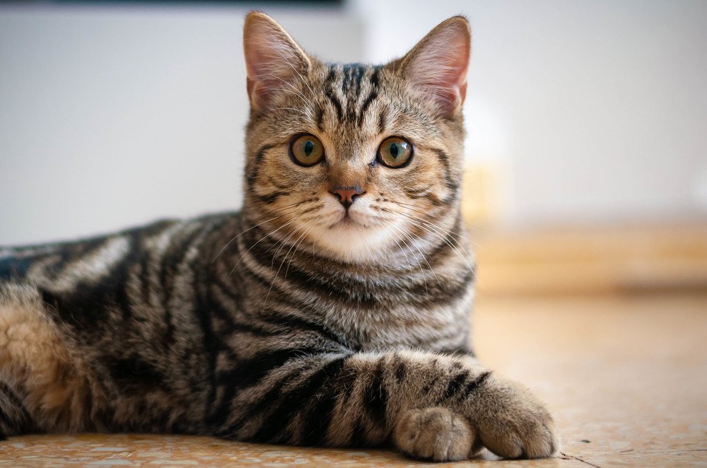 Photograph by Boris Vasilenko