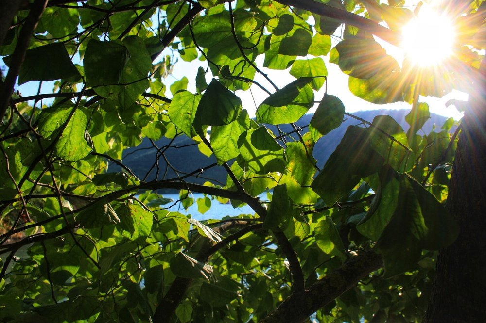 Photograph by Рыжик Алёна