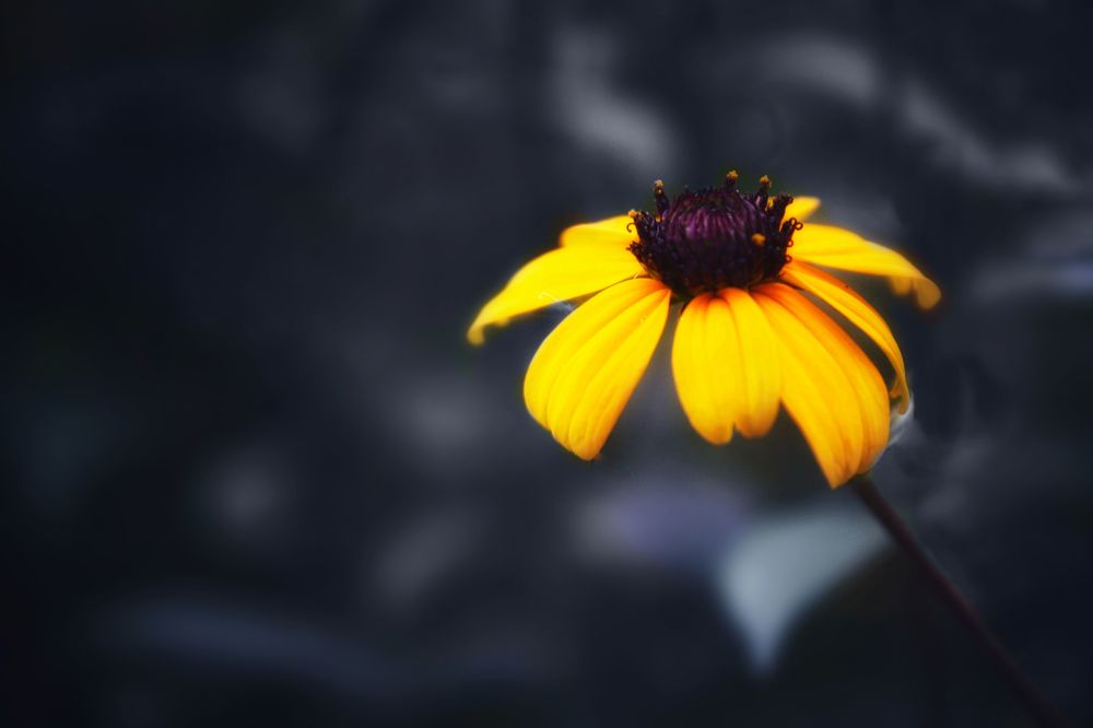 Photograph by Рыжик Алёна