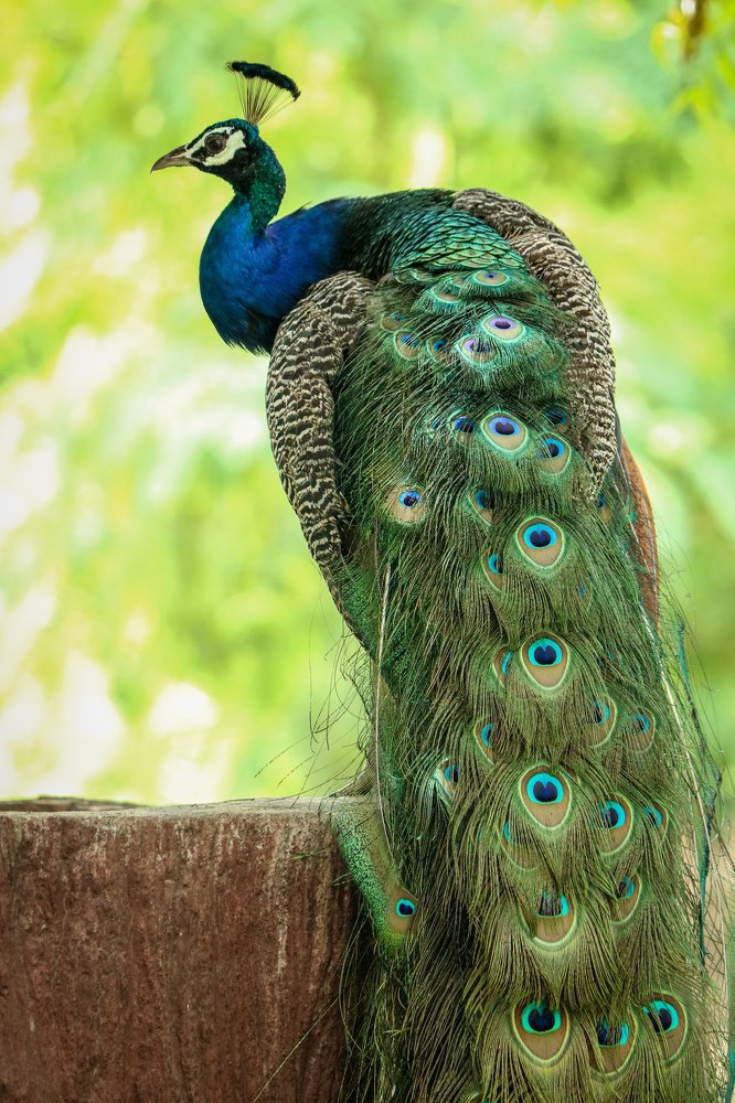 Photograph by Lakshya Sharma