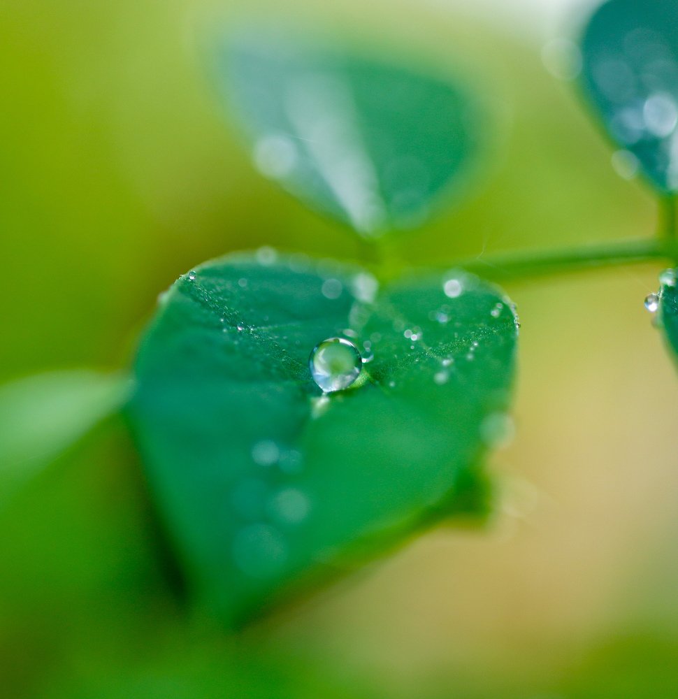 Photograph by Lakshya Sharma