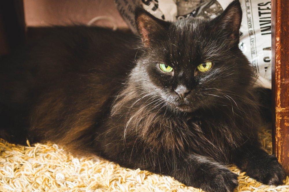 Photograph by Евгений Борисов