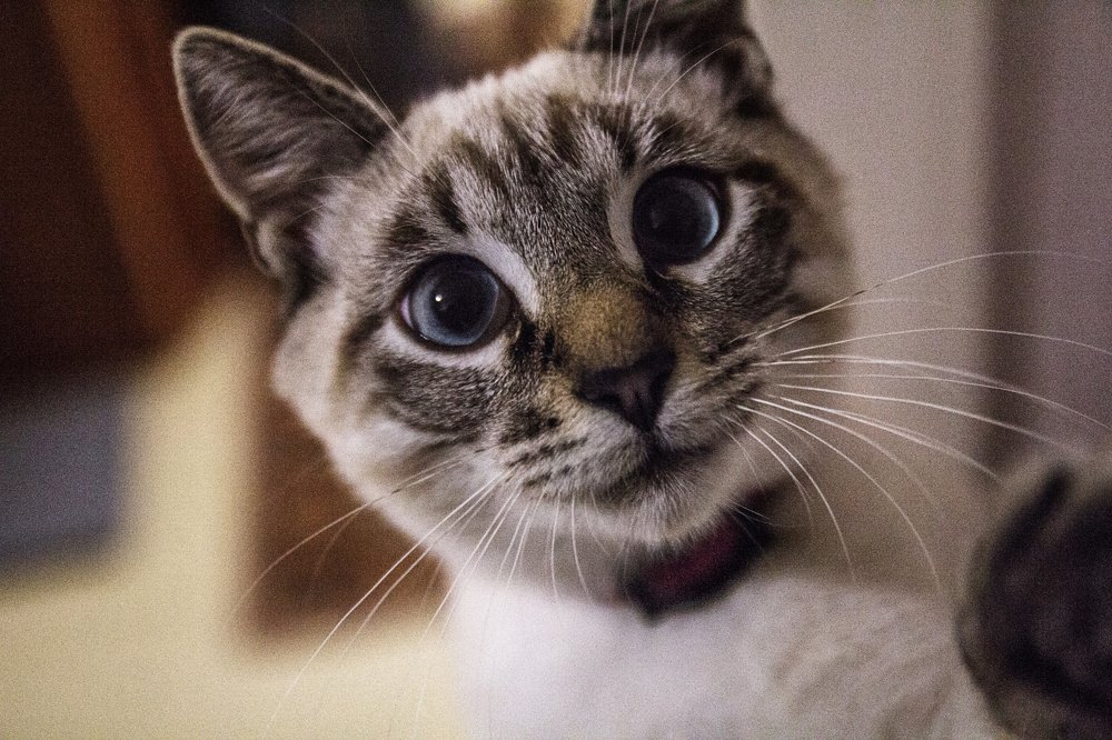 Photograph by Татьяна Линькова