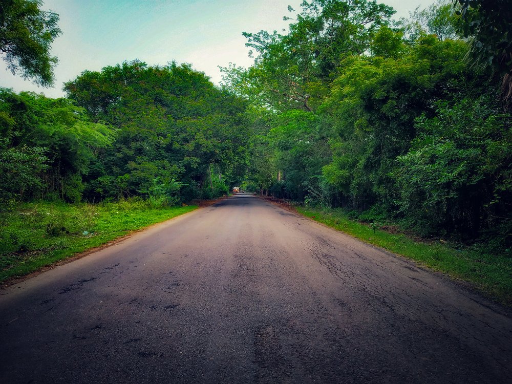 Photograph by PRABAGARAN V