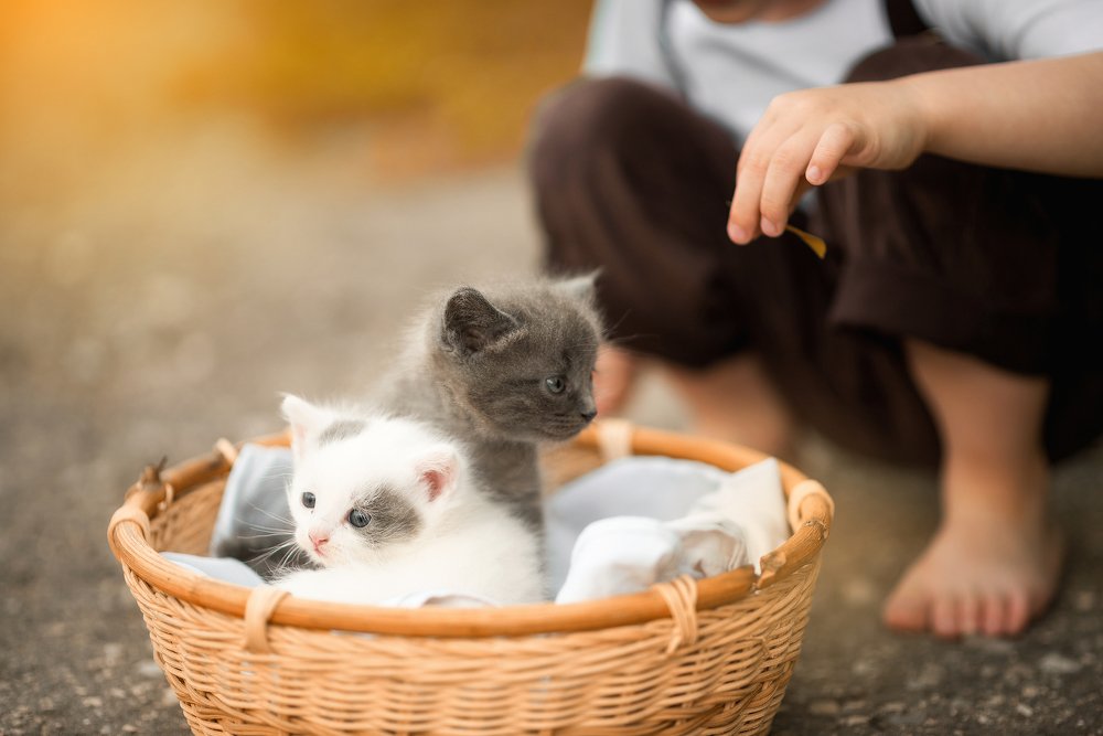 Фотография автора Ольга Грызлова