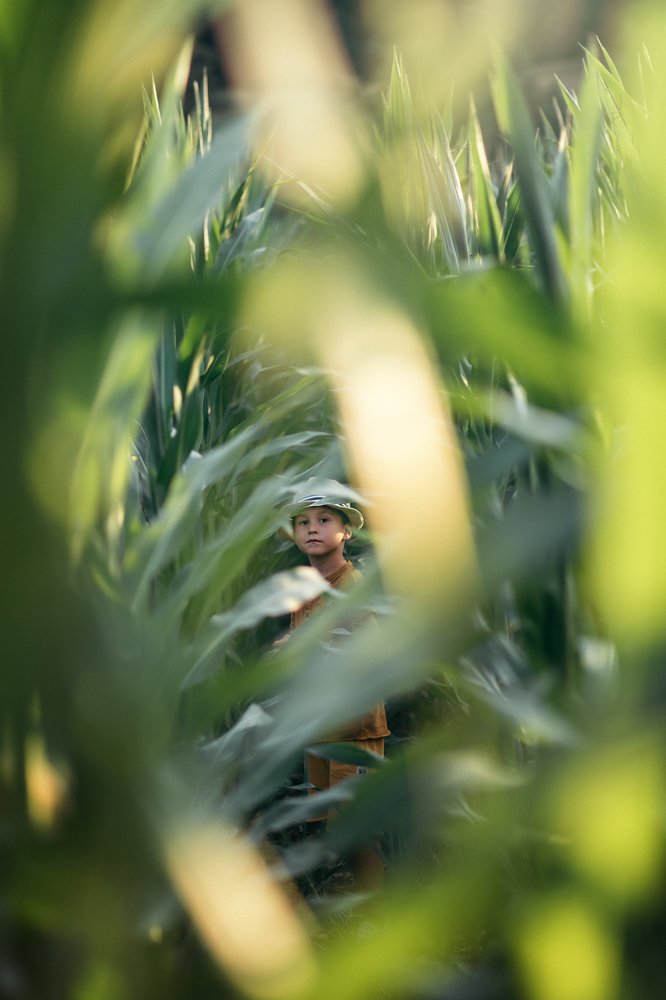 In the land of tall grasses