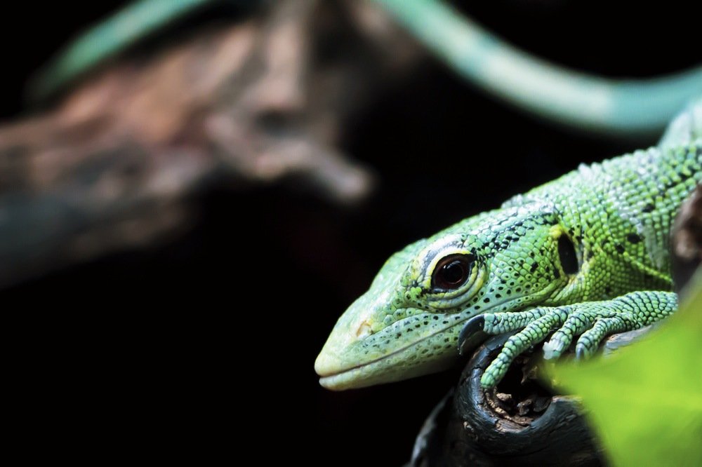 Photograph by Mefesto Decrus