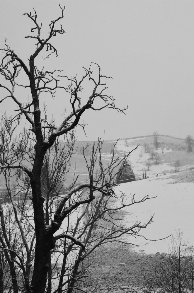 Морозный вечер....