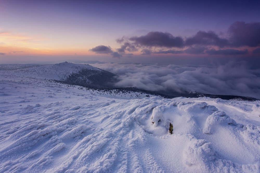 Photograph by Wiktor Baron