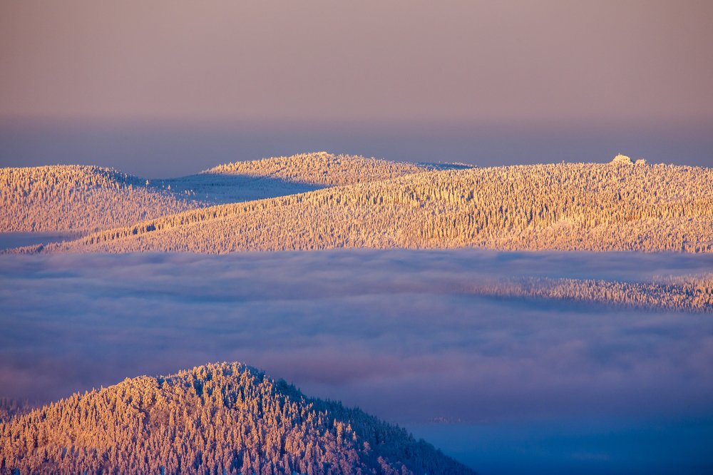 Photograph by Wiktor Baron