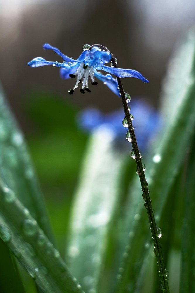 Photograph by Анна Дегтярёва