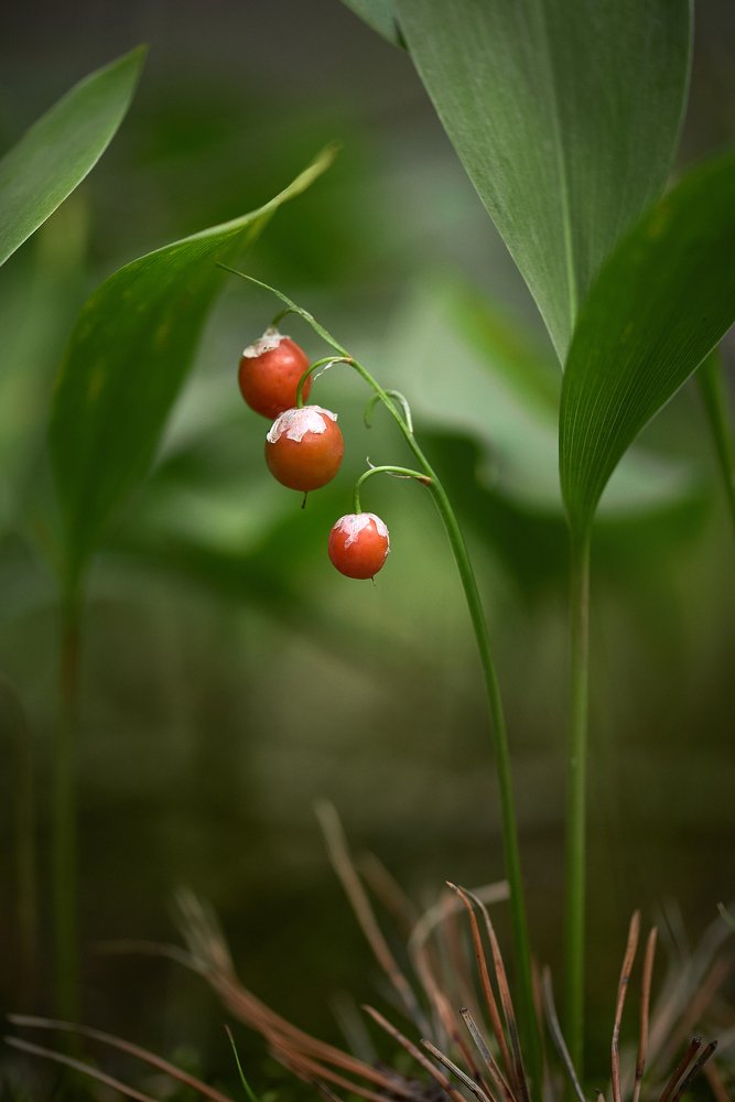 Photograph by Анна Дегтярёва