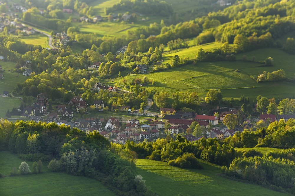 Photograph by Wiktor Baron