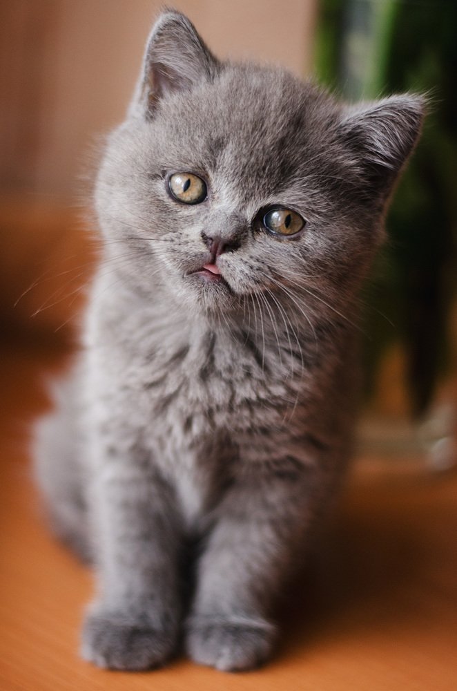 Photograph by Оксана Худошина