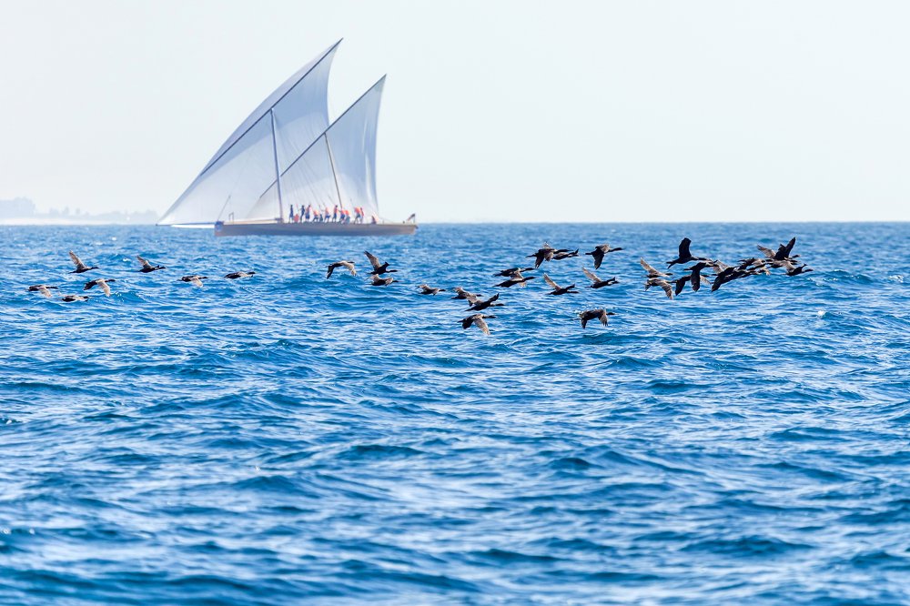 Photograph by Viktoryia Vinnikava