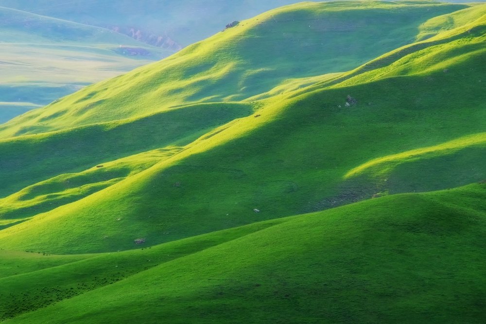 Photograph by Олеся Федосеенкова