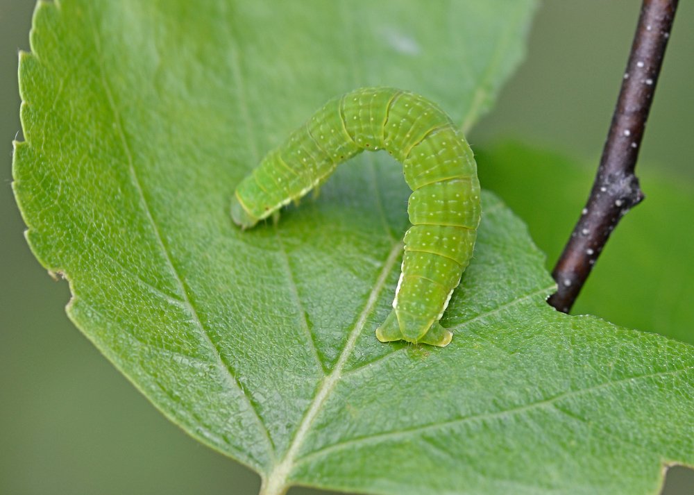 Photograph by Юрий Бичеров