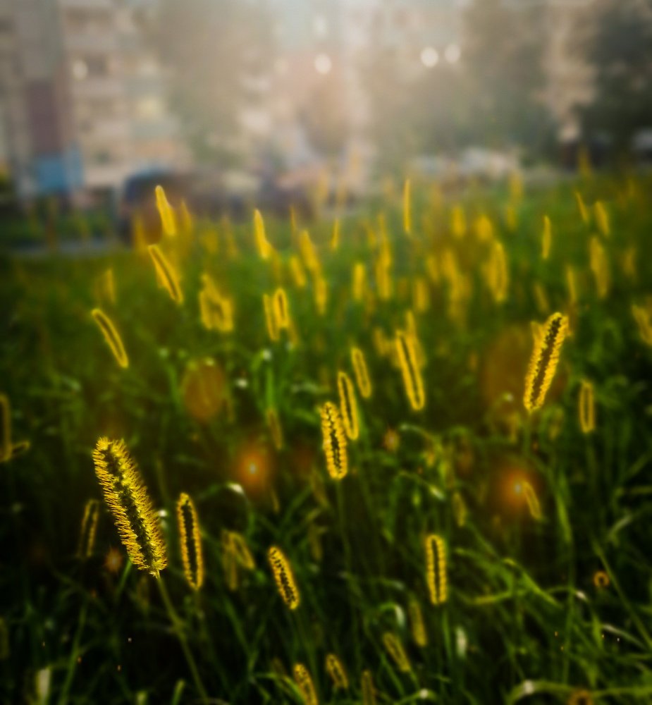 Photograph by Залия Гумерова