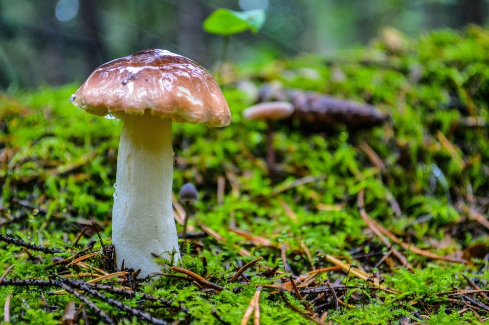 Photograph by Денис Кононов