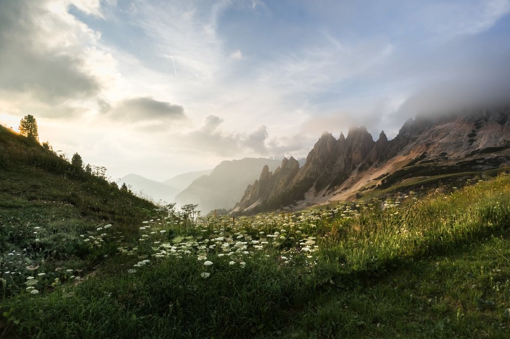 Photograph by Владимир Матвеев