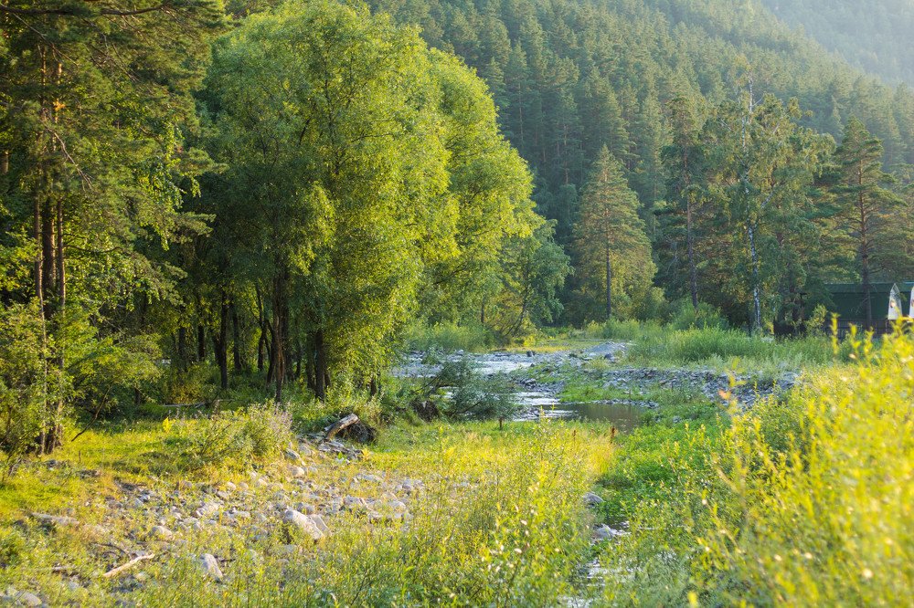 Photograph by Елена Пичуева