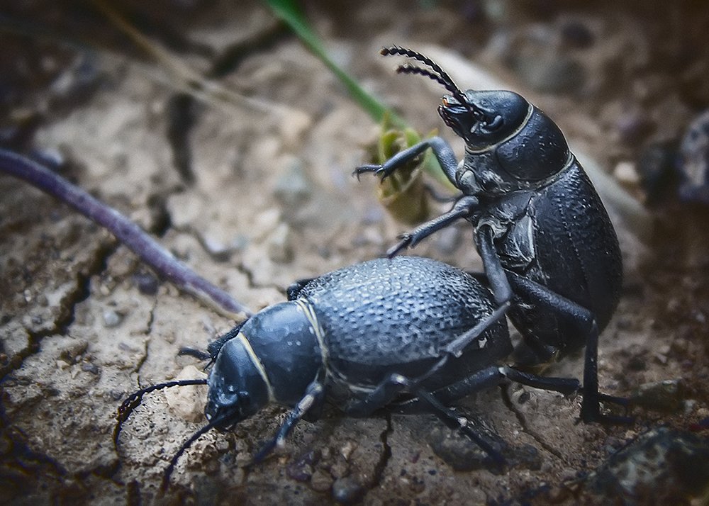 Photograph by amir badrazimi