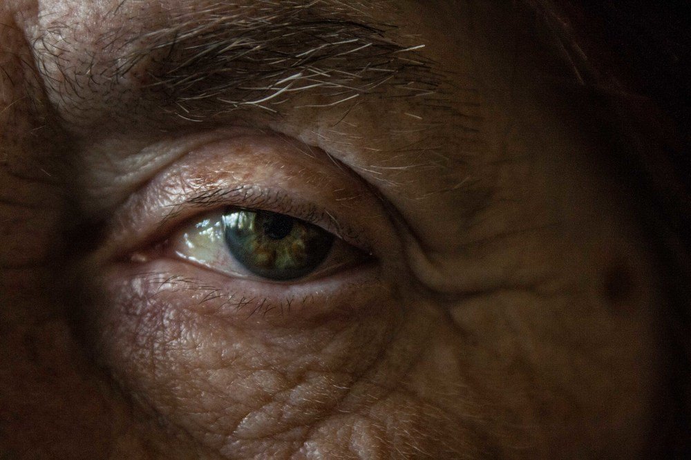 Фотография автора Ivelina Petkova