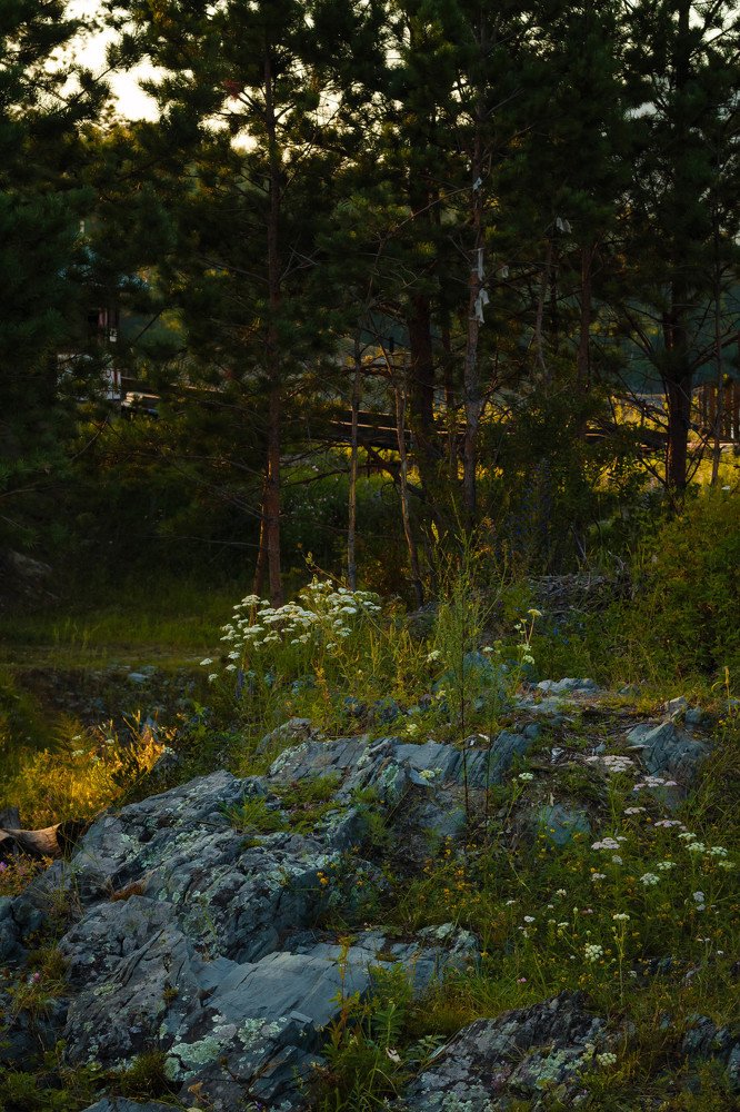 Photograph by Елена Пичуева