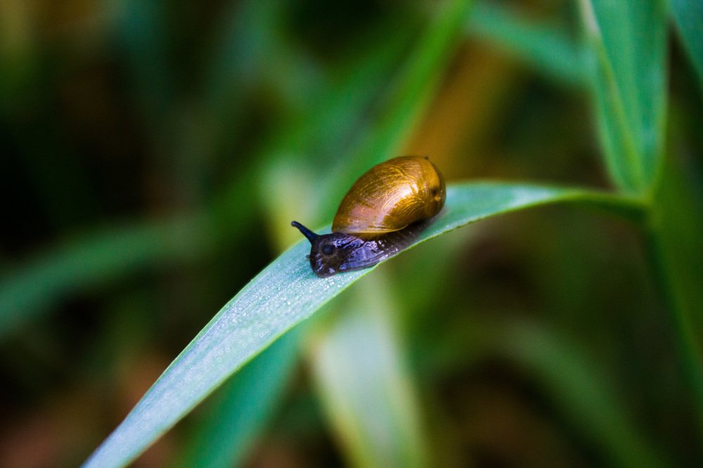 Photograph by Юлия Дейкун