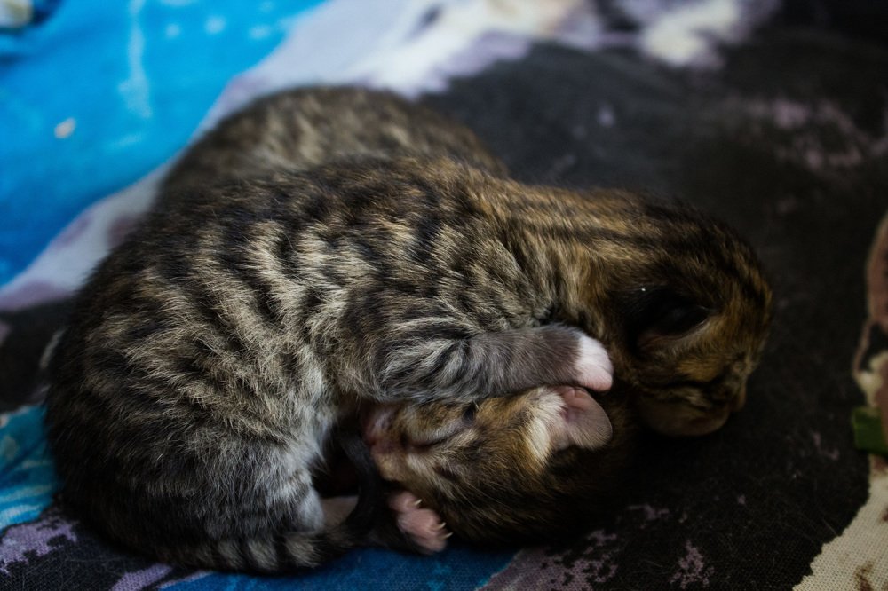 Photograph by Юлия Дейкун