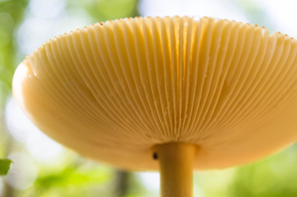 Photograph by Юлия Дейкун