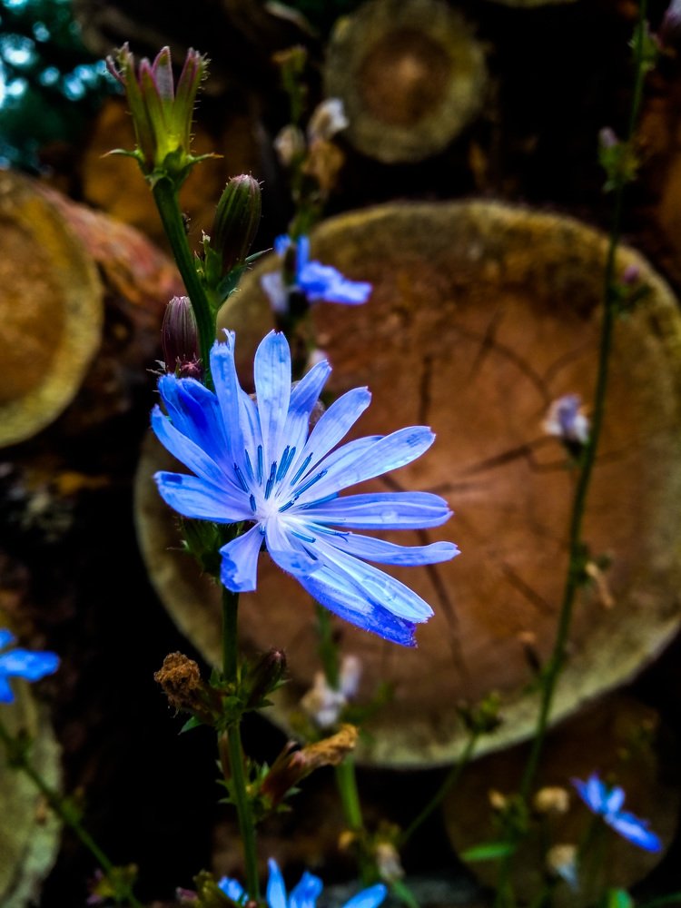 Photograph by Юлия Дейкун