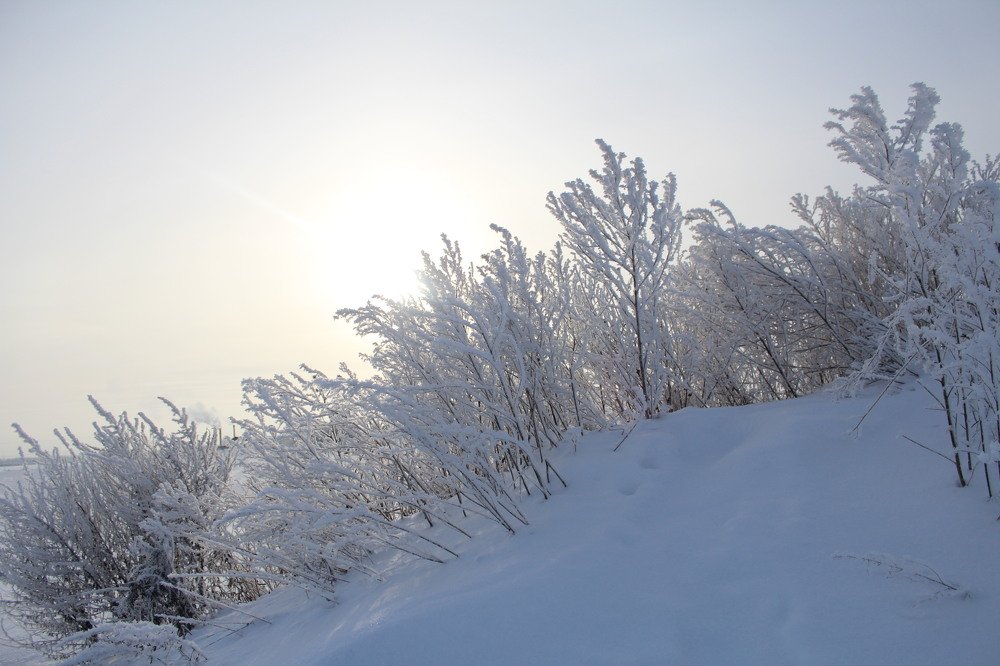 Photograph by Юлия Сметкина