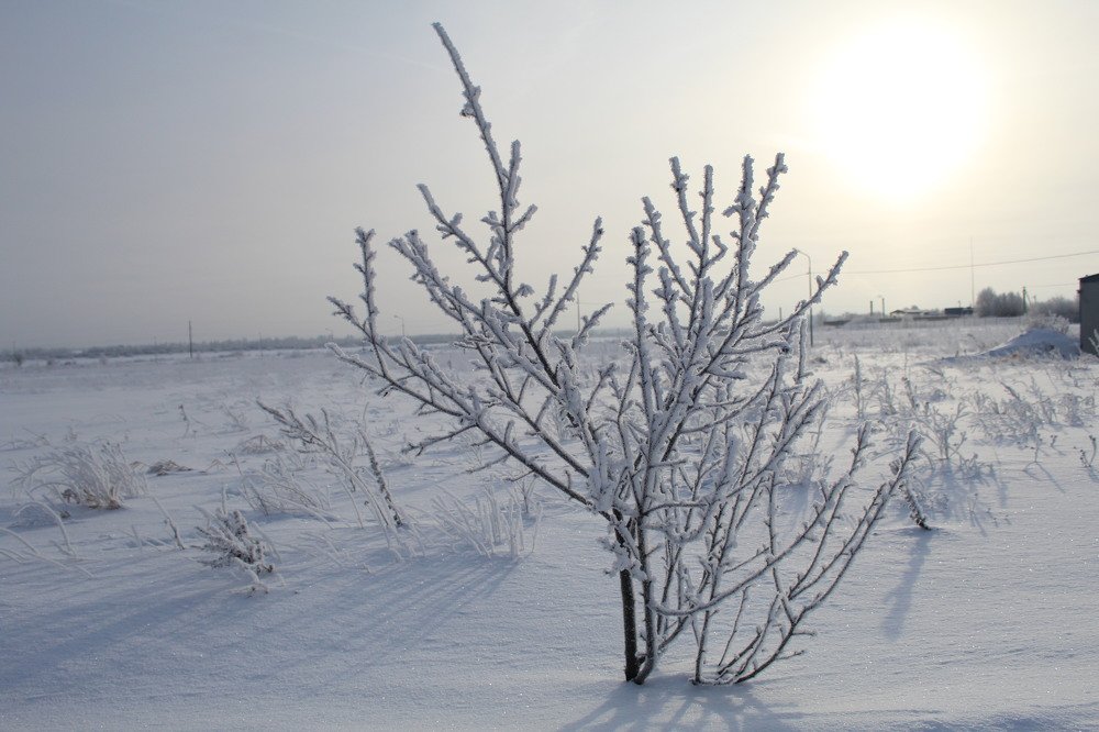 Photograph by Юлия Сметкина