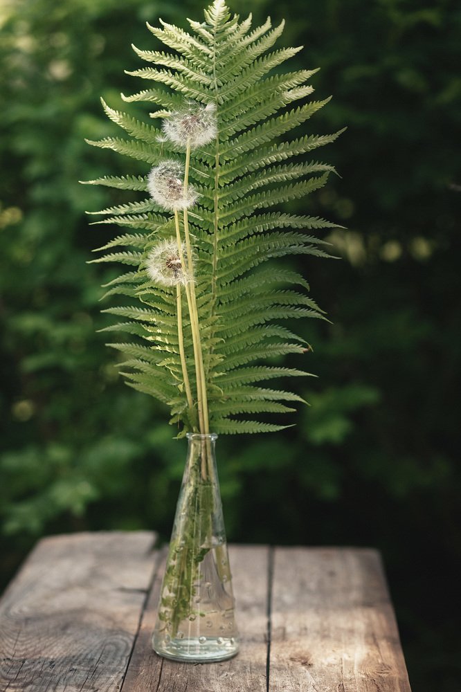 Photograph by Алена Борисова