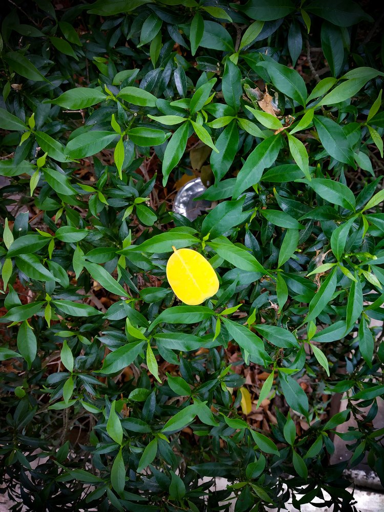 Photograph by PRABAGARAN V