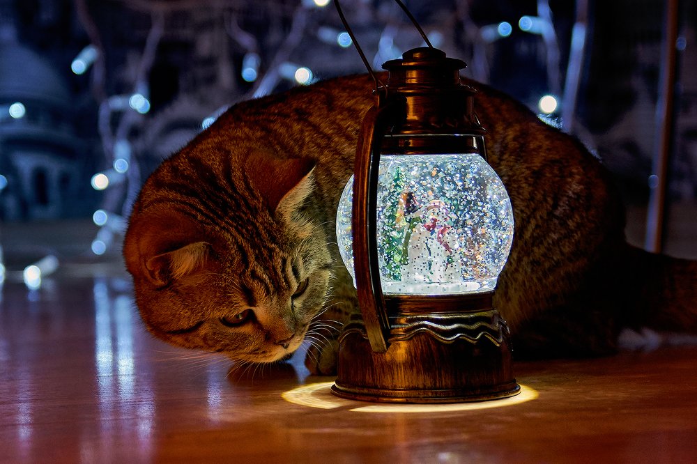 Фотография автора Иван Юркевич