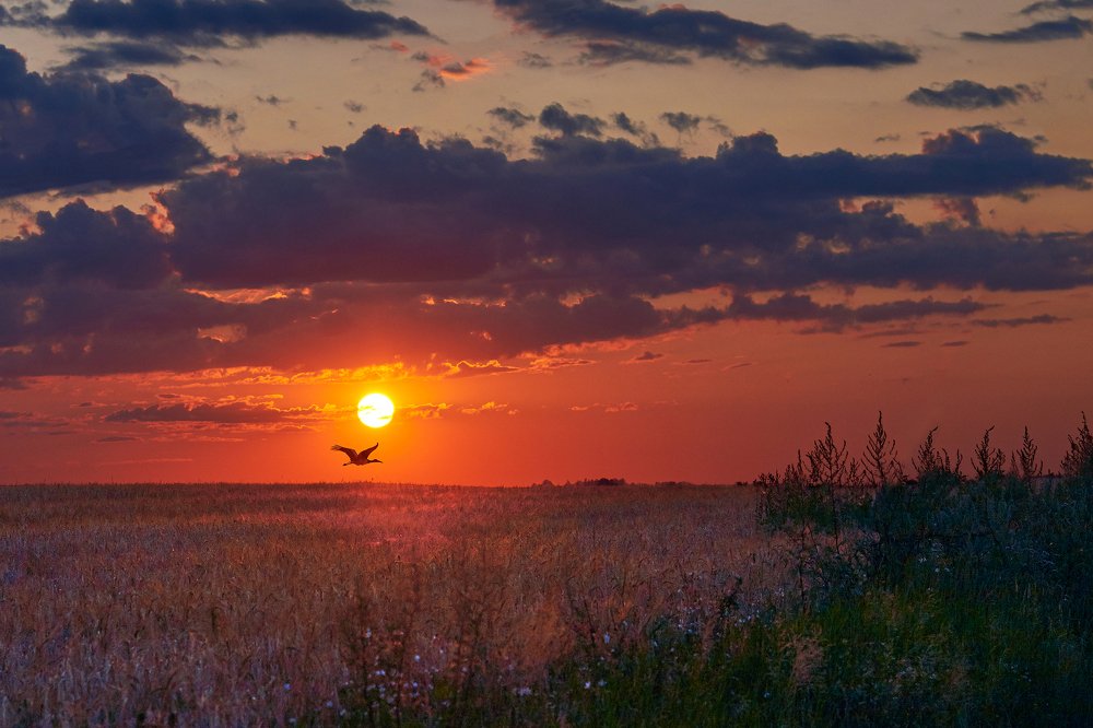 Фотография автора Иван Юркевич