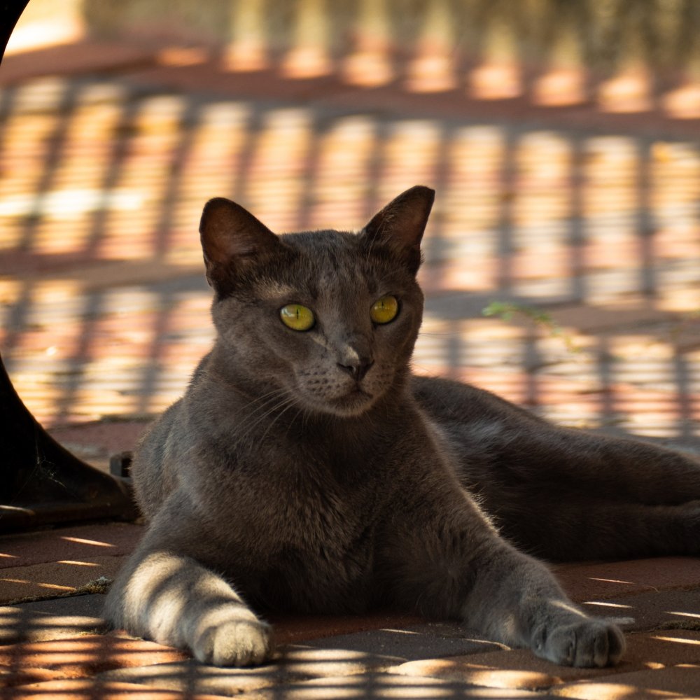 Photograph by Andrey Pochernin