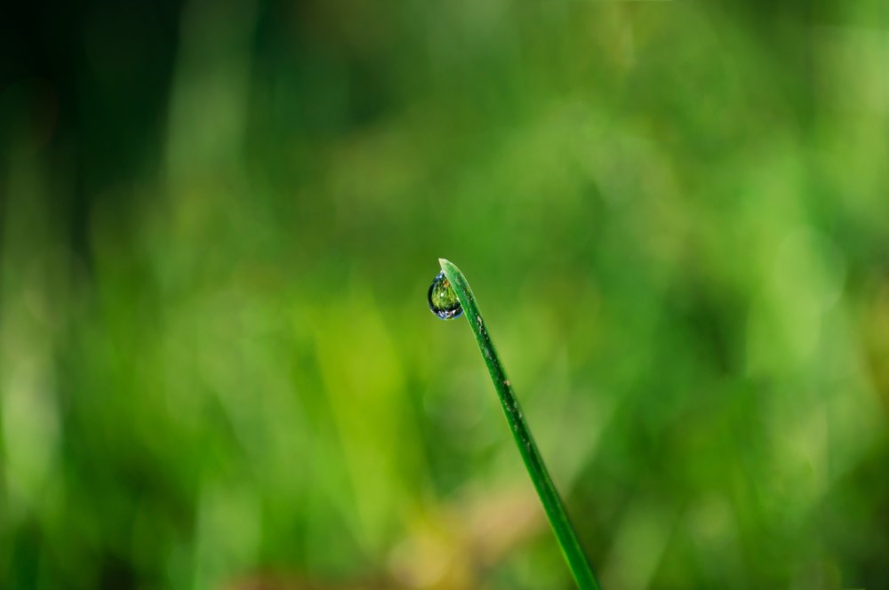 Photograph by Евгений Борисов