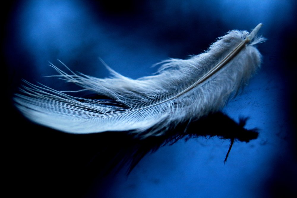 Photograph by Yusuf Buchari