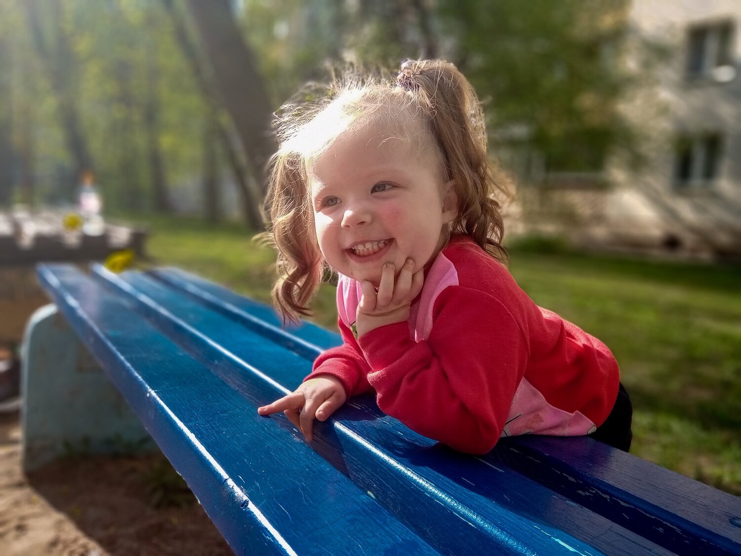 Photo #3563955