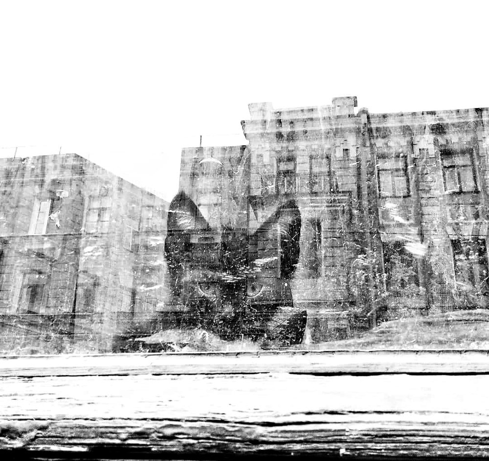 Кот Бегемот. Не шалю, никого не трогаю, починяю примус... (с)