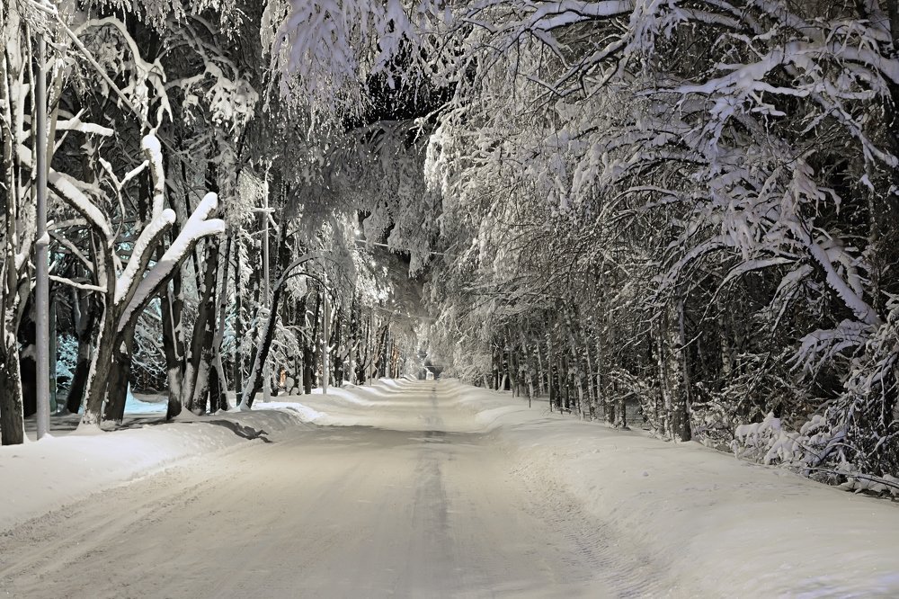 Photograph by Юрий Бичеров