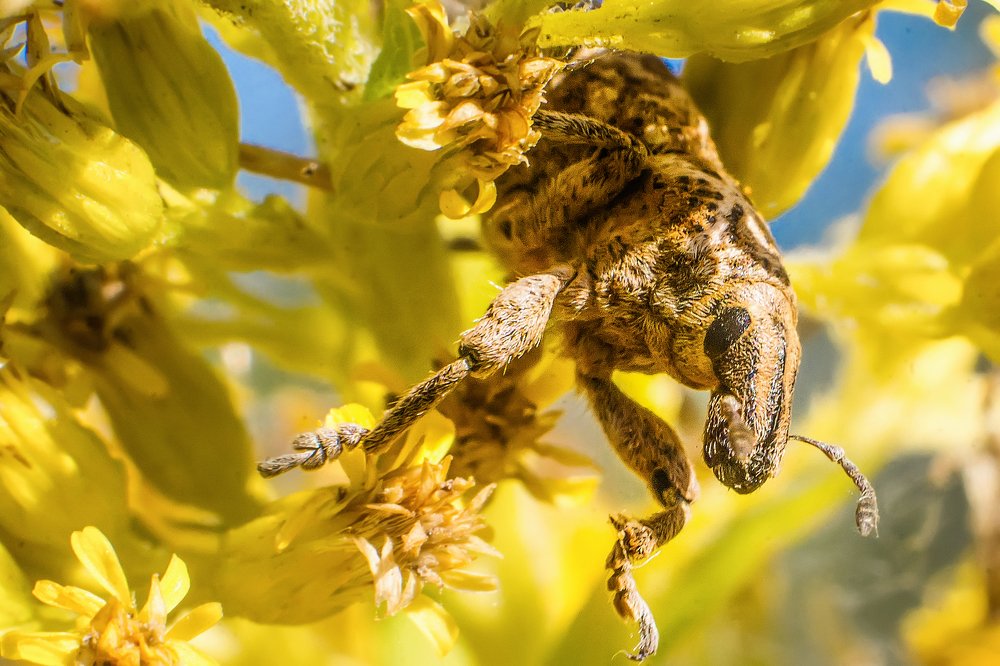 Photograph by Сокуренко Наталья