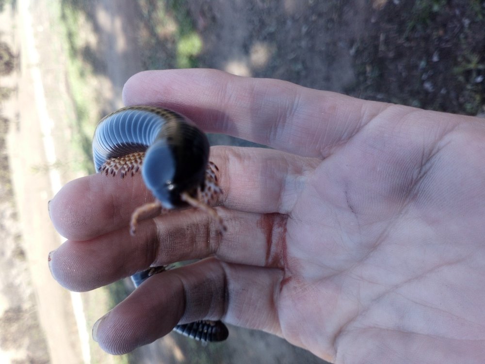 Photo #3564039