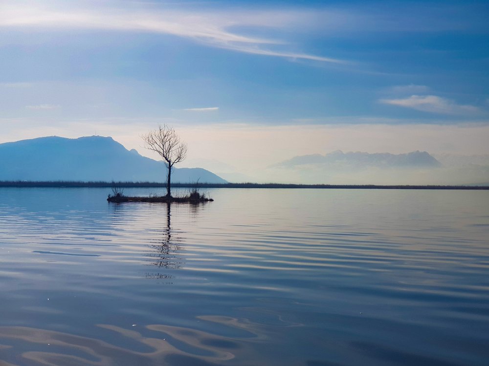 Photograph by kamyar Kamyar