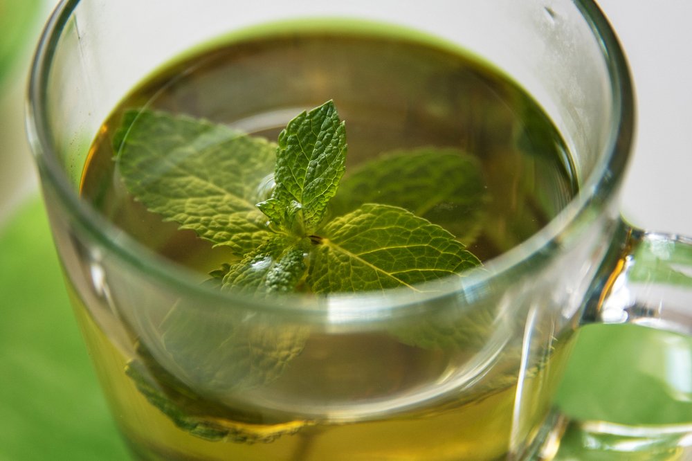 Фотография автора Гудкова Светлана