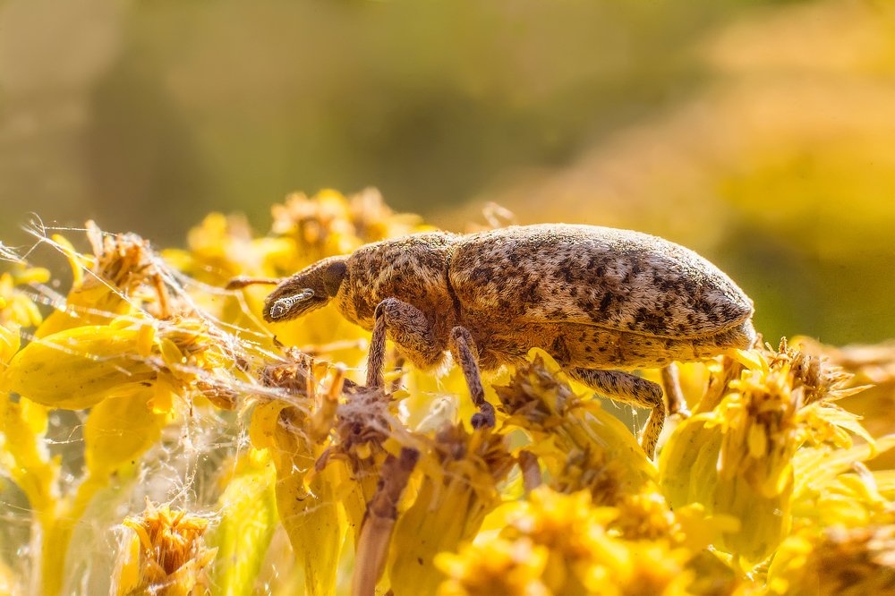 Photograph by Сокуренко Наталья