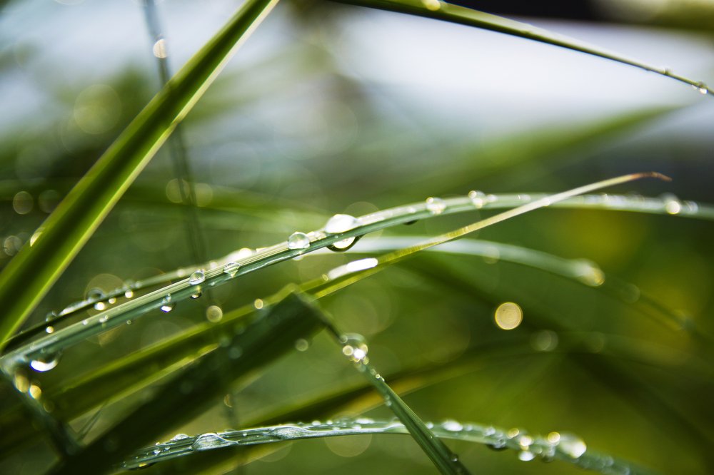 Фотография автора Гудкова Светлана